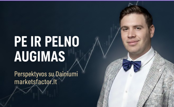 Akcijų analizės pagrindai: Pelno augimo ir P/E santykio įtaka investicijų sėkmei